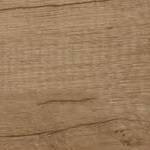 olm