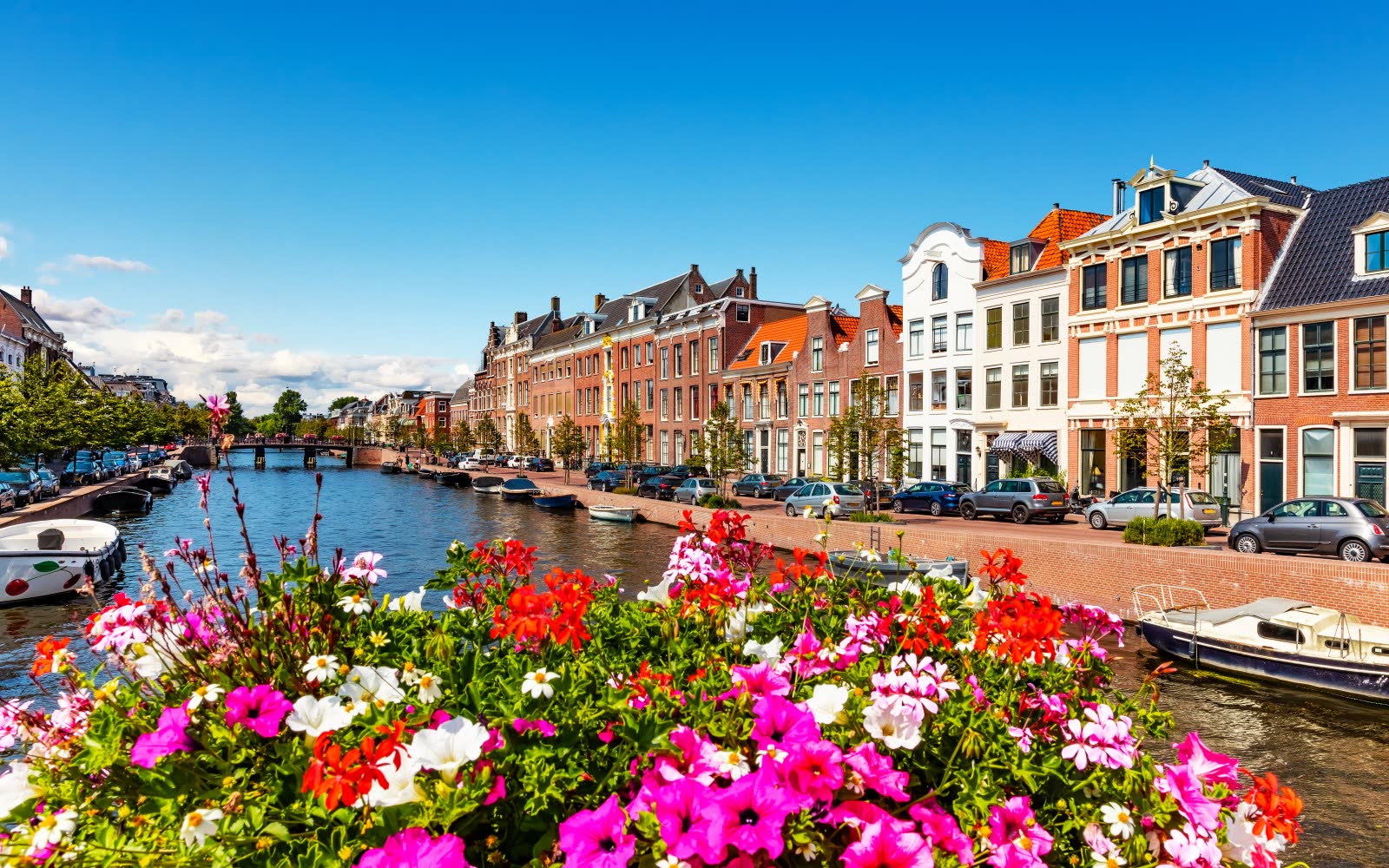 Stadsgezicht van Haarlem